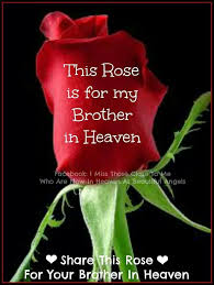 Check spelling or type a new query. Happy 1st Birthday In Heaven Brother Novocom Top