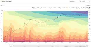 Bitcoin Data Onchain Dia Tsy Manome Soso Kevitra Amin Ny Tsena Omby Amin Ny 60k Forexrobots24