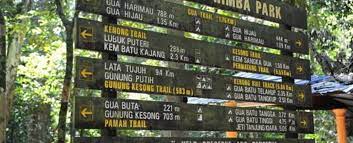 Terdapat puluhan gua batu kapur yang berusia melebihi 200 juta tahun. Kenong Rimba Park Eco Tour Mountain Planet