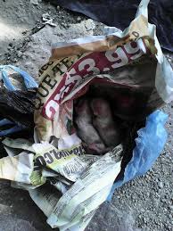 Fundación Huellitas de El Salvador