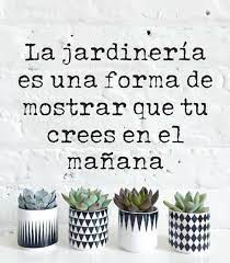 Simbolizan la seguridad y la estabilidad. Cj Sj Ticftfqm