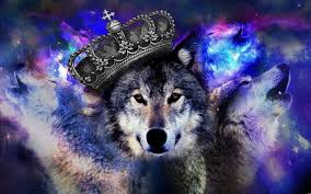 En samling av de beste cool wolf phone bakgrunnsbilder og bakgrunner tilgjengelig for nedlasting gratis. Wallpaper Galaxy Cool Wolf
