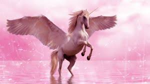 Please contact us if you want to publish an unicorn laptop wallpaper. Unicorn Tablet Laptop Wallpapers Hd Desktop Backgrounds 1366x768 Images And Pictures
