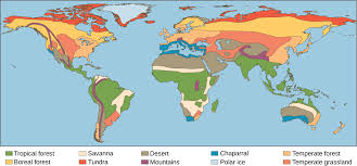 Biome Map Coloring Worksheet This World Map Shows The Eight Major Biomes Polar Ice And Mountains Biomes Biology Projects Ecosystems