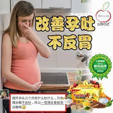 懷孕初期孕吐常有的 这时胚胎最为脆弱 不過沒想到喝谷糧 promealplus 竟然不會吐 一覺得反胃就喝一杯谷糧 promealplus 改善了孕吐 让胚胎神经系统发育健全