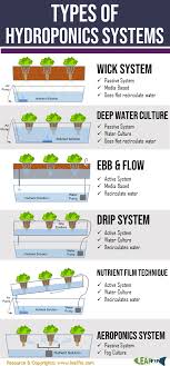 53 Hydroponics Ideas Hydroponics Growing Plants Hydroponic Gardening