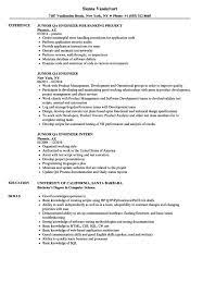 Junior Qa Engineer Resume Samples | Resume, Education Resume, Resume Design  Template