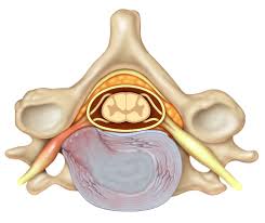 Maybe you would like to learn more about one of these? Pinched Nerve In Neck Causes Symptoms And Treatments