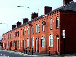 Image result for Syngrapha hochenwarthi