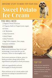 The Pet Lifestyle Guru Dog Food Recipes Healthy Dog Food Recipes Sweet Potato Ice Cream Recipe