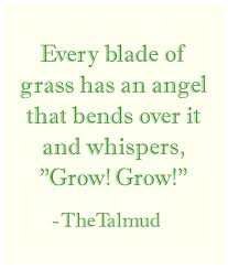 Talmud Favorite Quote Ever Used To Have This Hanging On My Fridge Jewish Quotes Torah Quotes Soul Quotes
