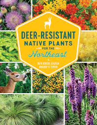 Keep in mind that these are deer resistant plants. Deer Resistant Native Plants For The Northeast Clausen Ruth Rogers Tepper Gregory D Amazon De Books