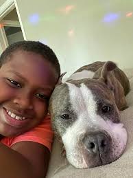 LOCATION OF DOG: Macon, GA Name: Mia MALE OR FEMALE: Female AGE OR DATE OF  BIRTH (best estimate): 5 yrs WEIGHT (best estimate): Roughly 50-55 lbs  HOUSE BROKEN : yes BREED or