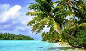 We did not find results for: Powerpoint Hintergrund Fur Insel Tapete Resolusi Tinggi 1920x1155 Wallpapertip