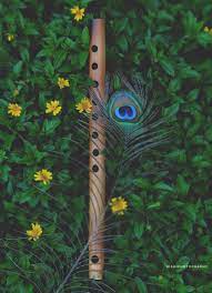 A collection of the top 38 peacock feather wallpapers and backgrounds available for download for free. Beautiful Peacock Feather And Fruit Krishna Wallpaper Lord Krishna Hd Wallpaper Krishna Radha Painting