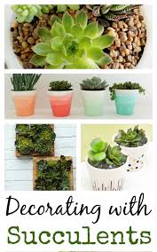 We always have new gift ideas and new interesting plants. 13 Ideas For Decorating With Succulents Town Country Living