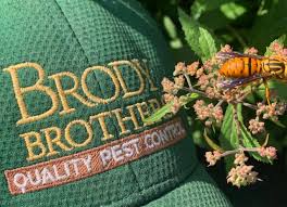 The fragrance that eucalyptus emits is powerful enough to keep these pests at bay. Why Do Wasps Chase You Brody Brothers Pest Control