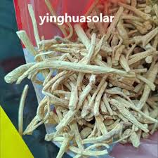 Image result for root-tail