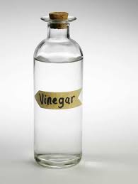 Bring the whole concoction to a boil and let sit overnight. Does Vinegar Kill Bed Bugs And Eggs Pestseek