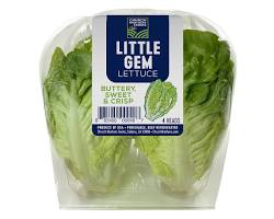 Image of Little Gem Churches Lettuce
