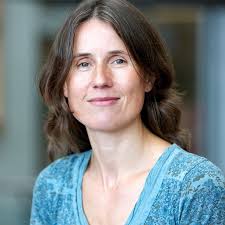 Internal Investigators