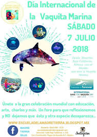 La vaquita marina es una especie en peligro de extinción, de los 10 ejemplares que quedan, tres la procuraduría federal de protección al ambiente (profepa) explicó que la vaquita marina es una. Rosarito Beach Wants To Save The Vaquita Marina Sandiegored Com