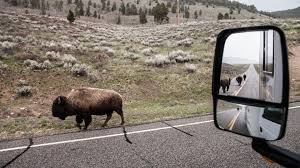 Flagg ranch is located two and a half miles on j.d. Tips For Planning A Yellowstone Rv Trip Togo Rv
