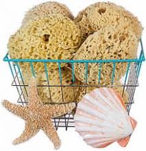 Natural sea wool bath sponges are one of the most natural and caring ways to cleanse your baby's skin. Sea Sponge Loofah Skin Care More