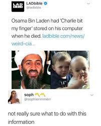 The website also says the person who places the winning nft bid will be. If That Meme Came Out Now Isis Quot Charlie Was A 166241546 Added By Springbok At Some Shit With Love 4