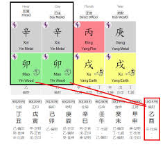 Decoding Fu Yin And Fan Yin Bazi Charts Senses Live