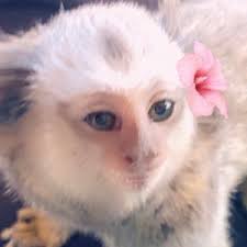 Michelle Mansour (@michelle.mansour7)