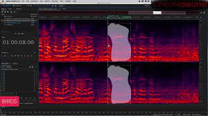 Dialog Mixing How To Fixing Bird Noise In Audio Recordings In Adobe Audition Youtube