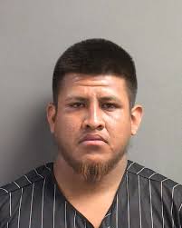 Florida woman rescued in Volusia County after calling 911 to 'order pizza' 