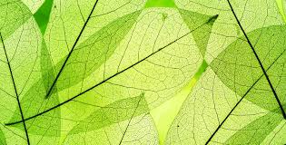 We did not find results for: Artificial Photosynthesis Can We Harness The Energy Of The Sun As Well As Plants Future Of Life Institute