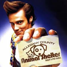 Allegany County Animal Shelter