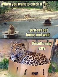 20 Cute Funny And Adorable Animals For Getting You Out Of The Weekly Blues Cute Funny Animals Funny Animals Funny Cats