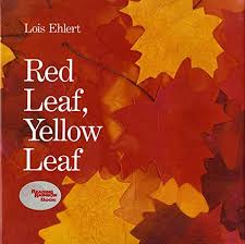 Fall Theme Preschool Activities Leaf Book Fallen Book Yellow Leaves
