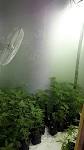 Image result for pole and dagga houses