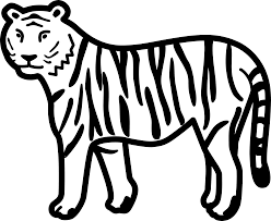 Tiger clipart easy tiger clipart easy clipartxtras jpeg #5516269 tiger clipart easy pencil and in color tiger jpg #5516271 Tiger Clipart Black And White Transparent Cartoon Jing Fm