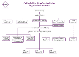 Organizational Structure Civil Laghubitta Bittiya Sanstha