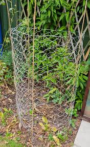 We did not find results for: How To Make Tomato Cages With Chicken Wire Wire Fence