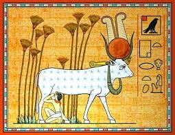 Αποτέλεσμα εικόνας για корова нейт