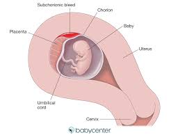 At 7 weeks pregnant, baby is about the size of a sweethearts candy. Brown Discharge In Pregnancy Causes And When To Call The Doctor Babycenter
