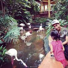 Cameron highlands di pegunungan titiwangsa adalah salah satu tempat wisata di malaysia yang ada berbagai cara menarik untuk menikmati wisata alam liar yaitu dengan hiking, memancing terletak di lepas pantai barat laut malaysia, laut andaman, langkawi adalah sebuah kepulauan. Tempat Menarik Di Langkawi Yang Terkini 2021 Paling Cantik
