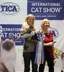 We are dedicated to producing healthy, gentle, and beautiful maine coon cats. Stumptown Coons Maine Coon Kittens Maine Coon Cats