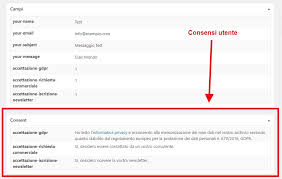 Come Adeguare I Moduli Di Contact Form 7 Al Gdpr Innovora