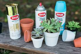 See actions taken by the people who manage and post content. Dollar Store Decor Diy Mini Succulents