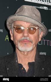 Kleiner bob -Fotos und -Bildmaterial in hoher Auflösung