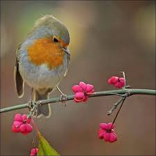 Bird Sitting On Tree Branch Drawing A Bird Sitting On A Tree Is Never Afraid Of The Branch Breaking Because Her Trust Is Not On The Branch But Aves De Estimacao Animais Lindos Passaro Selvagem