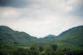 Haryana Congress president Rao Narender Singh backs Save Aravalli drive